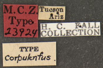 Media type: image;   Entomology 23924 Aspect: labels